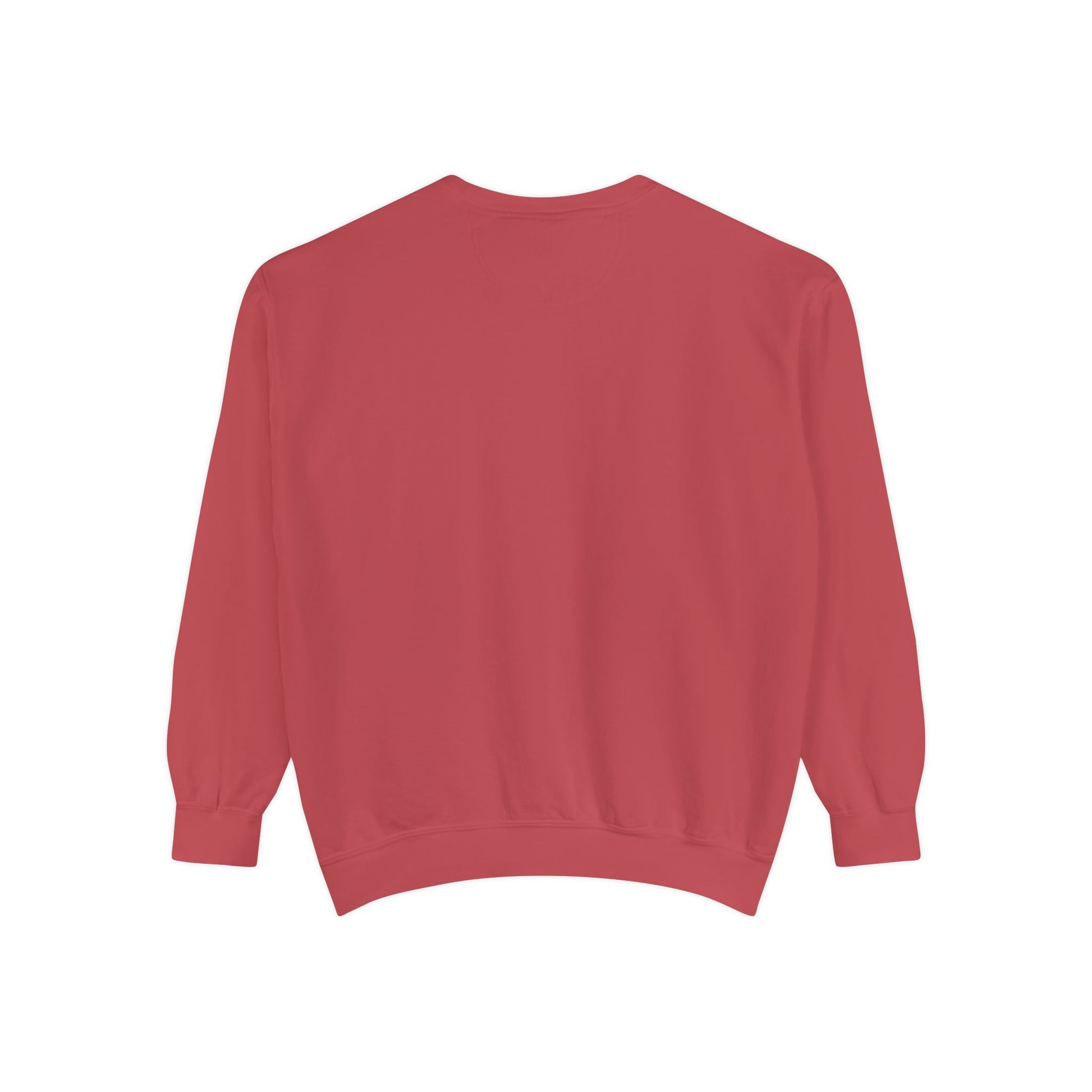 Sudadera TushLife Cozy Coral de Printify, de color coral y tela suave, vista frontal con cuello y mangas largas.